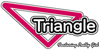 triangle logo
